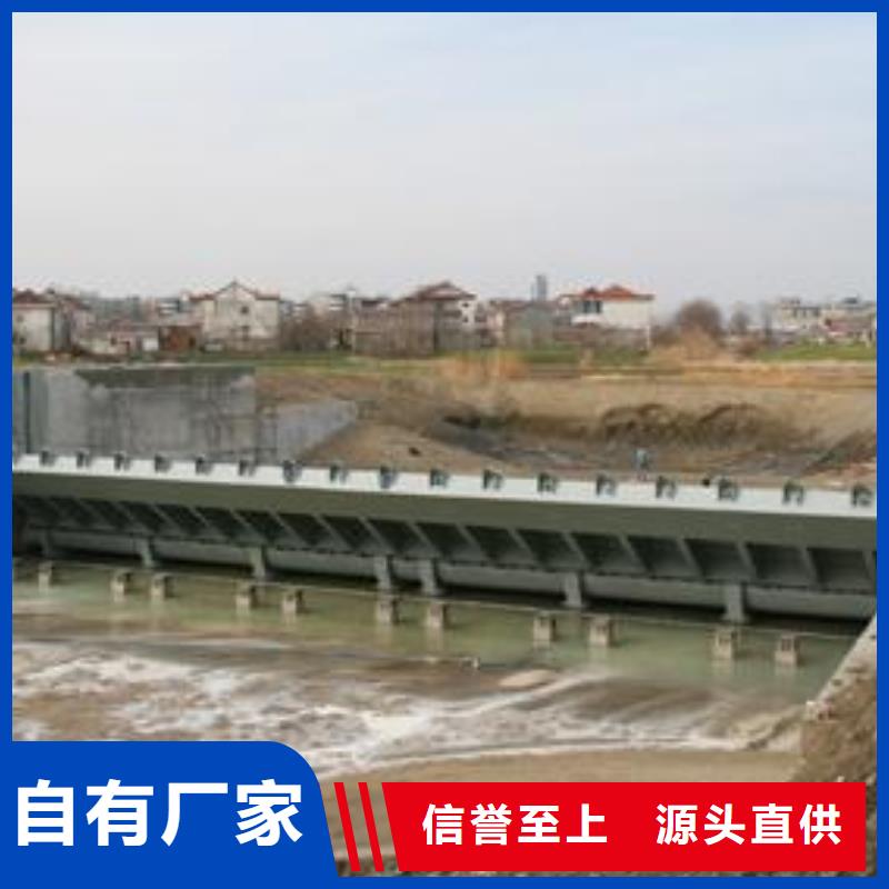 翻板闸门N年大品牌
