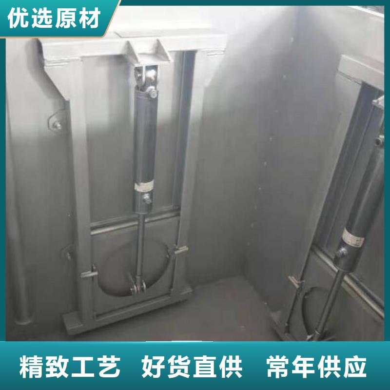 截流井闸门铸铁镶铜闸门当地货源
