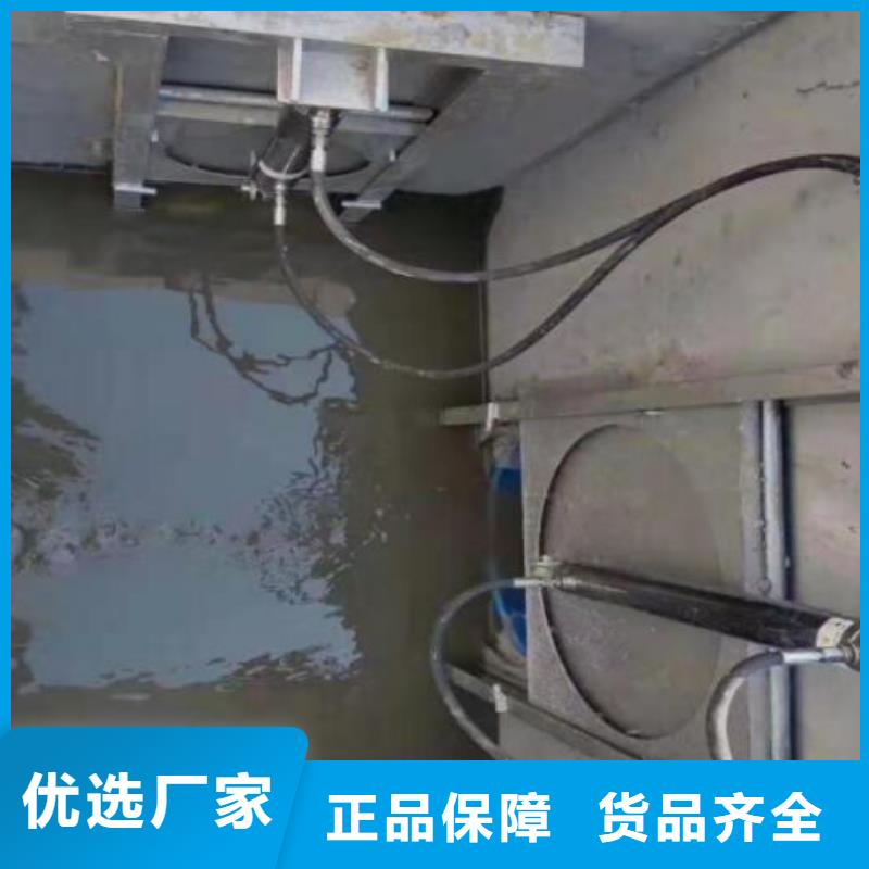  截流井闸门定制批发