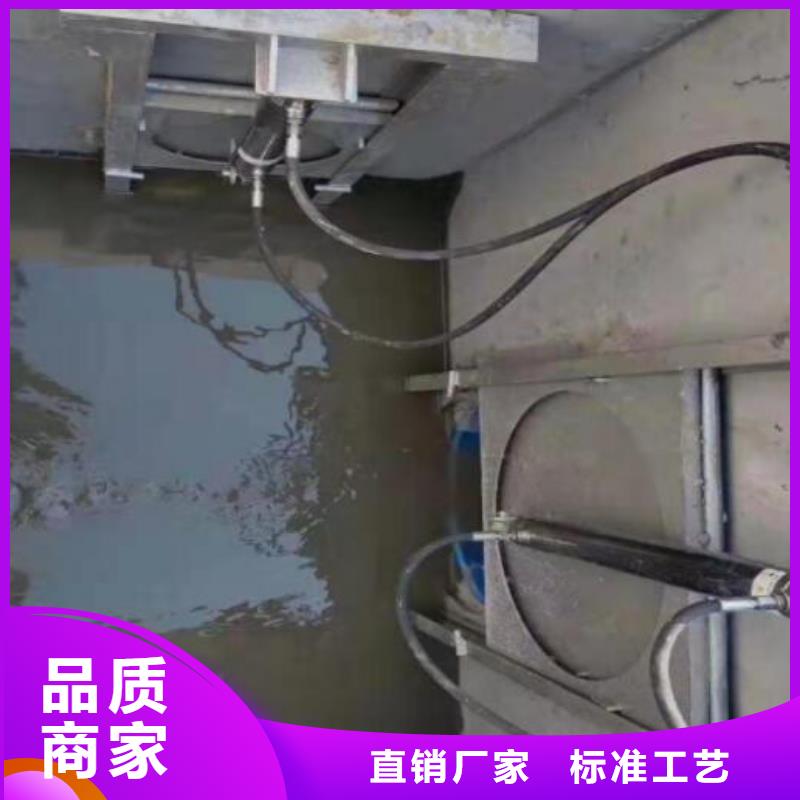  截流井闸门厂家精选