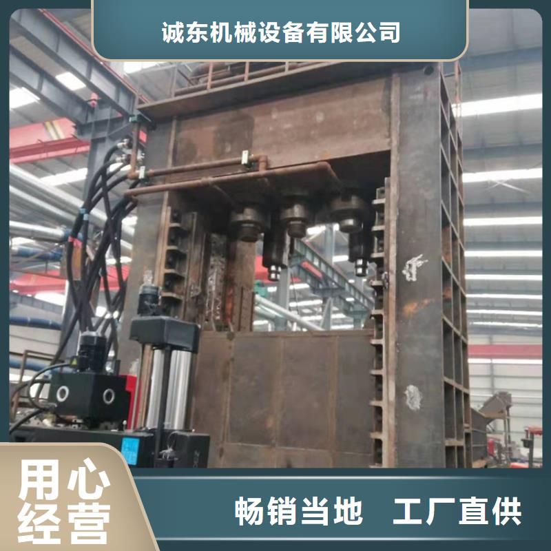 龙门剪金属撕裂机工厂直销