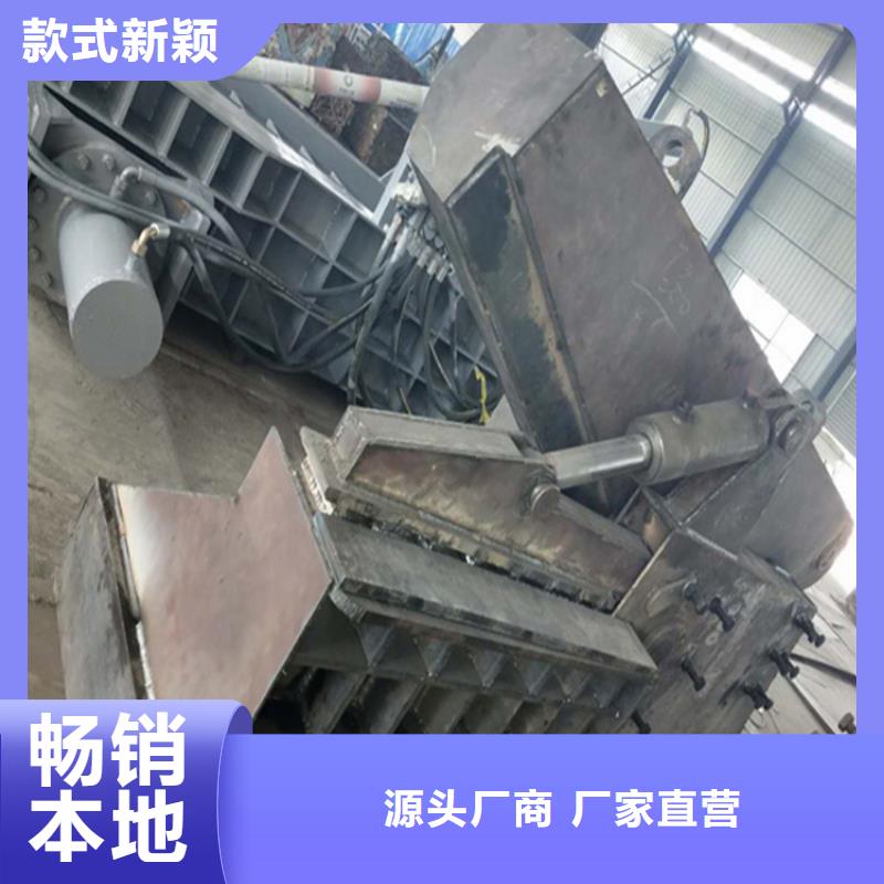 【龙门剪】废旧金属撕裂机厂家直销售后完善