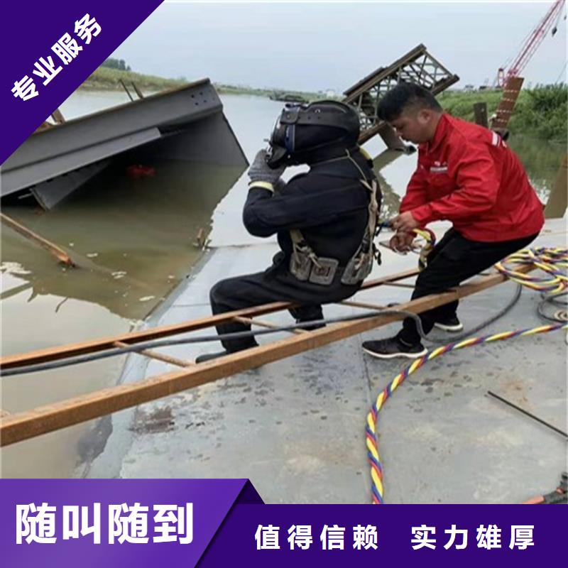 潜水员服务公司【本地施工队】