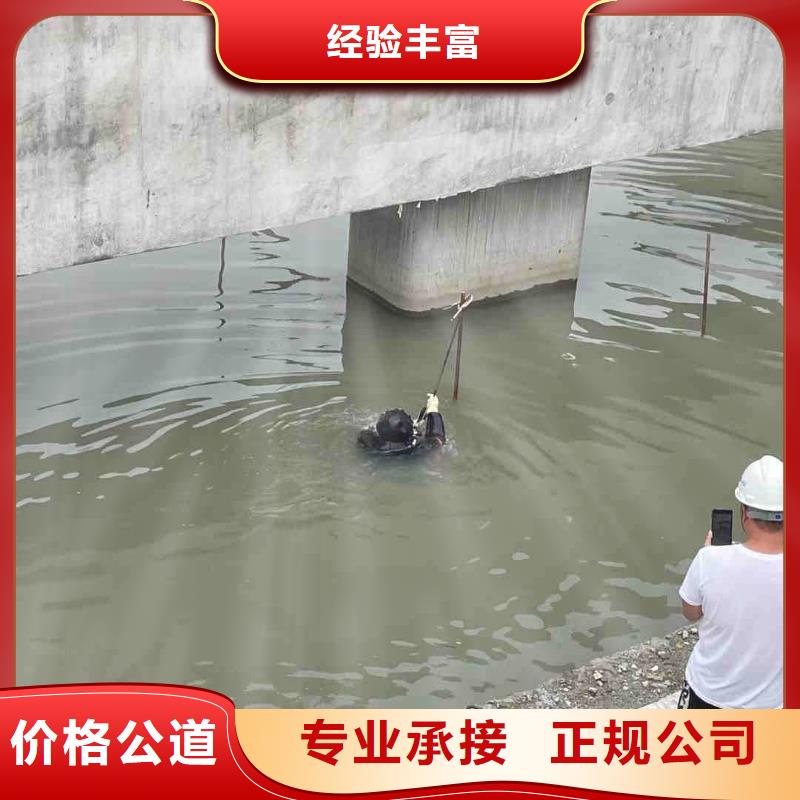 蛙人服务公司信息