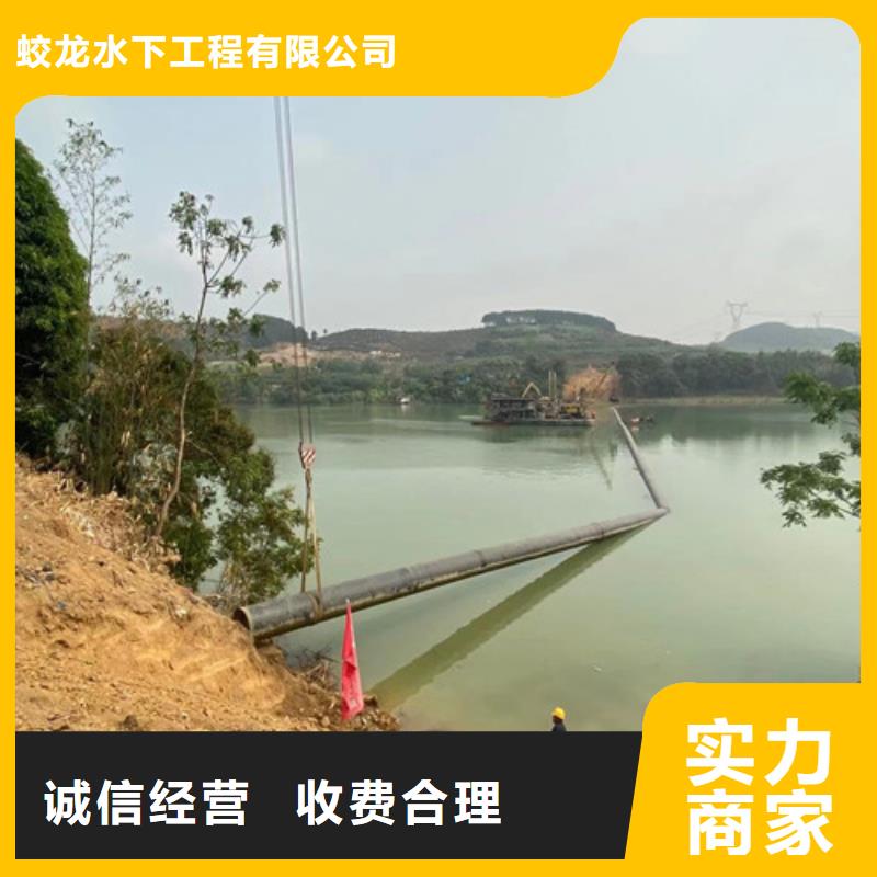 蛙人服务公司_欢迎咨询