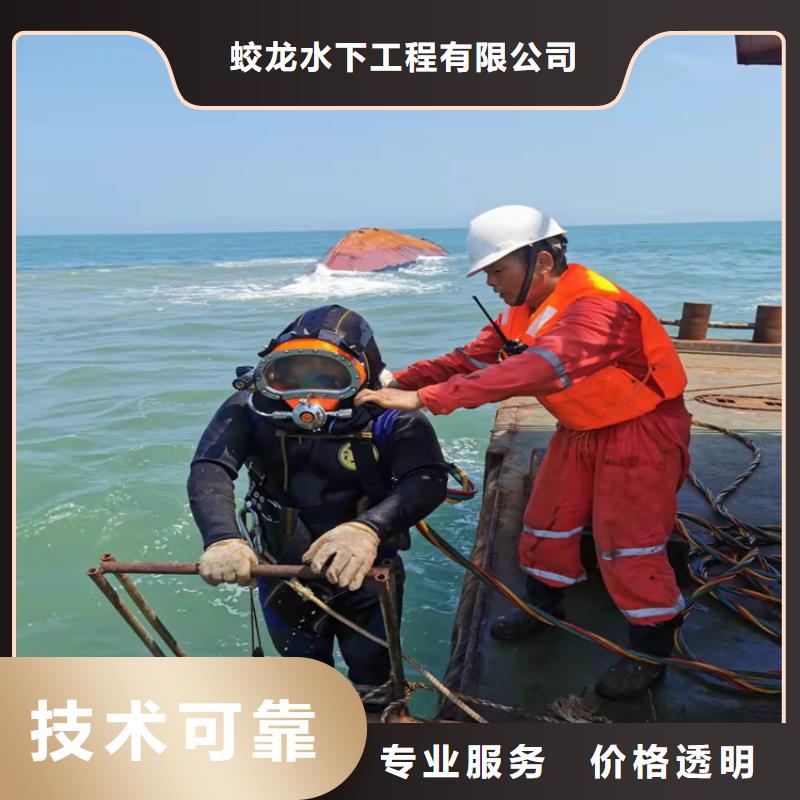 电厂闸门水下维修检查公司【本地施工队】