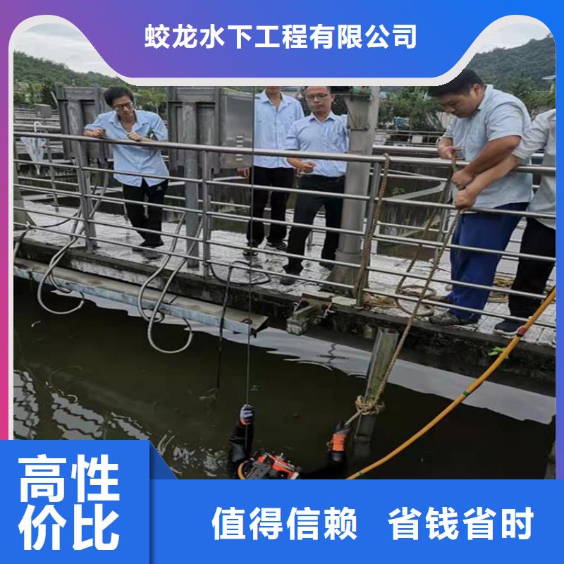 桥桩桥墩水下检测录像公司【本地施工队】
