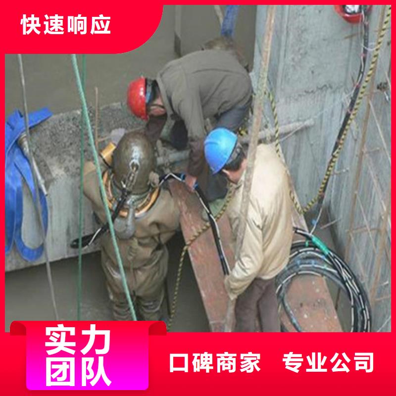 电厂闸门水下维修检查公司【本地施工队】
