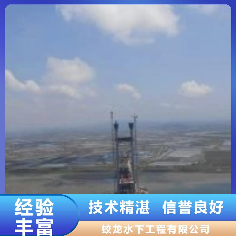 供应蛙人作业队伍_优质厂家