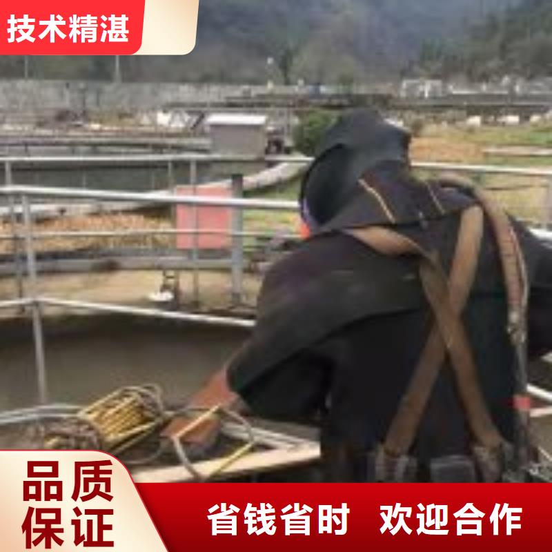 桥桩桥墩水下检测录像公司-解决各种难题