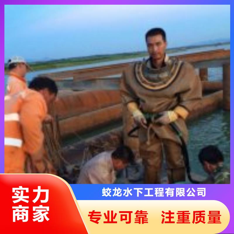 电厂闸门水下维修检查公司【本地施工队】