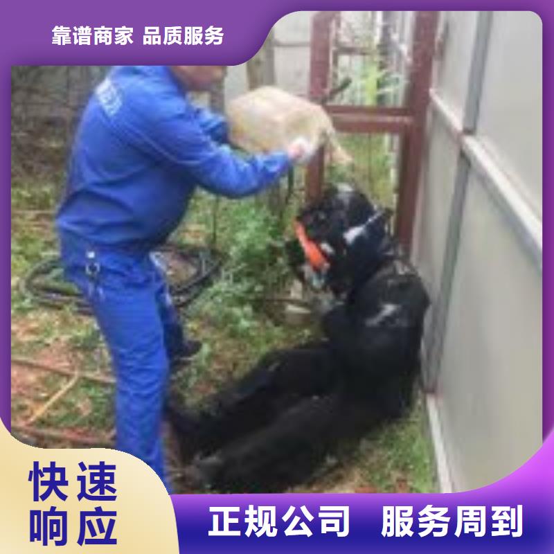 护坡破损模袋修复公司信息
