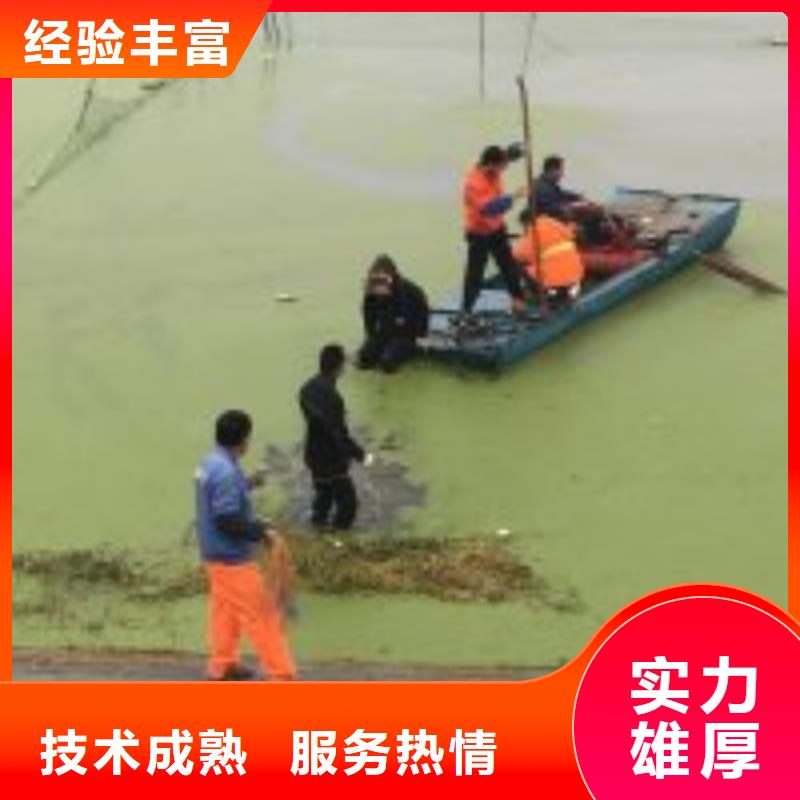 桥桩桥墩水下检测录像公司_专业潜水单位