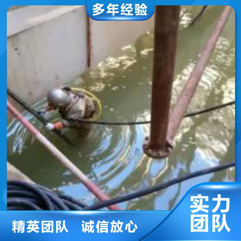 电厂闸门水下维修检查公司-解决各种难题
