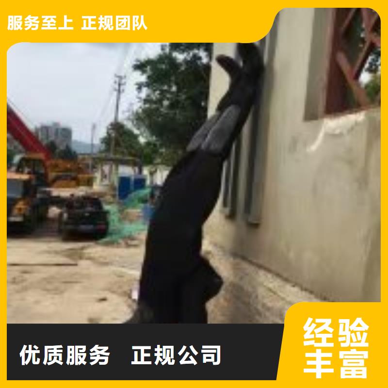 水下检查公司【本地施工队】