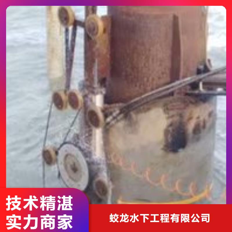 护坡破损模袋修复公司信息