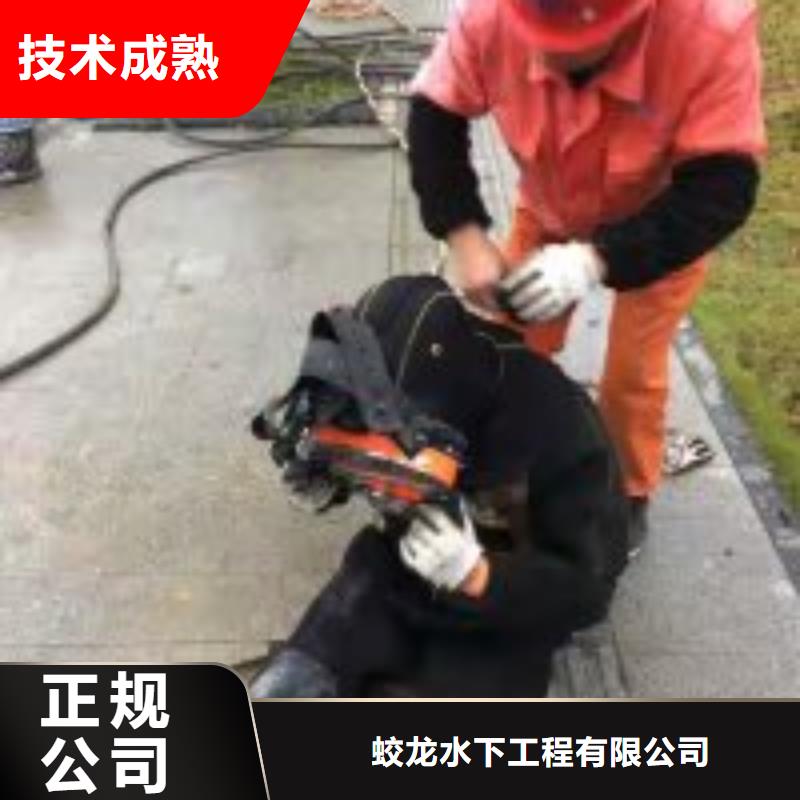 水下护坡模袋施工【本地施工队】