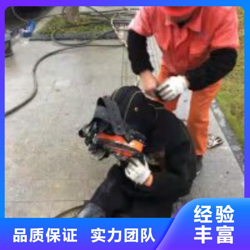 电厂闸门水下维修检查公司【本地施工队】