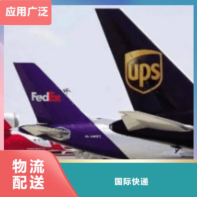 DHL国际快递-视频-甘肃省庆阳市|环县|庆城|武威|定西|酒泉|平凉|张掖DHL国际快递-国际快递