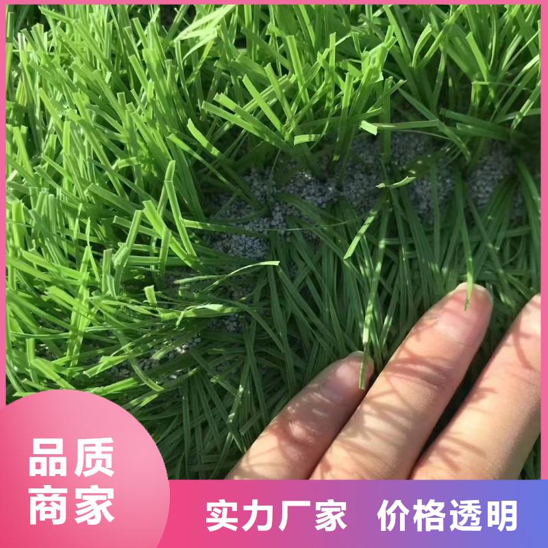 石英砂近期行情
