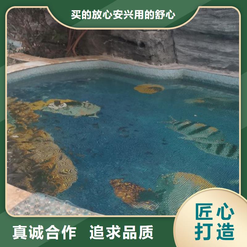 国际比赛泳池设备视频-洛南|商南|安康|西安|榆林|宝鸡|汉中国际比赛泳池设备做工精细-水浦蓝物联网智慧水设备(商洛市分公司)