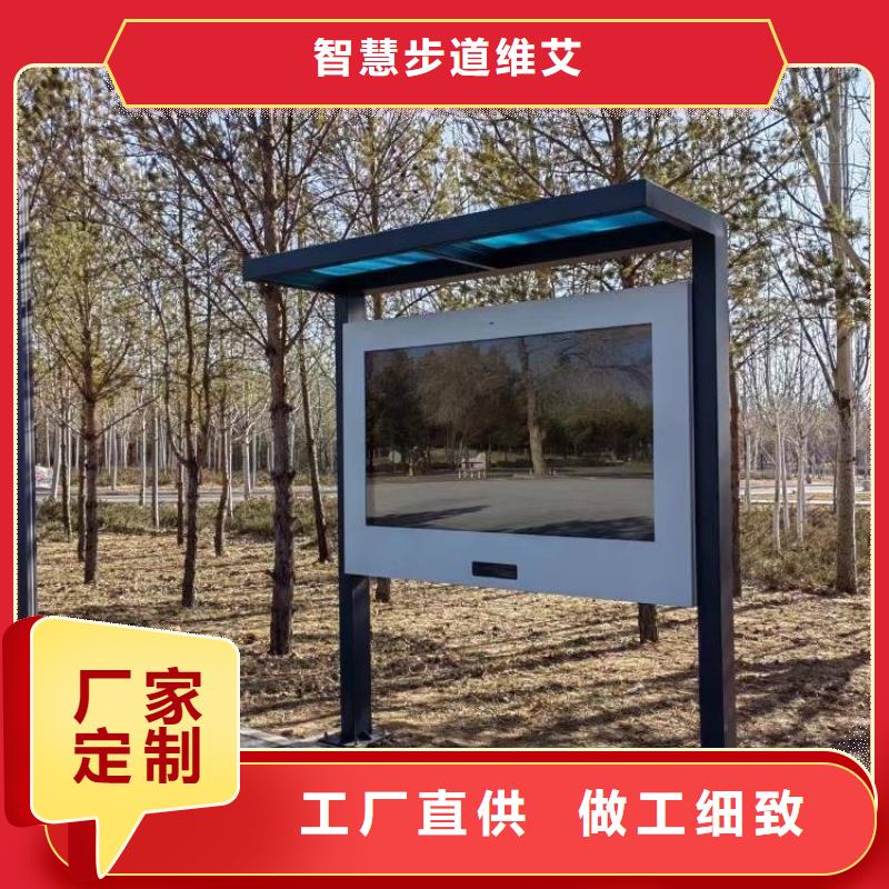 虚拟骑行单车费用（维艾狄尔）