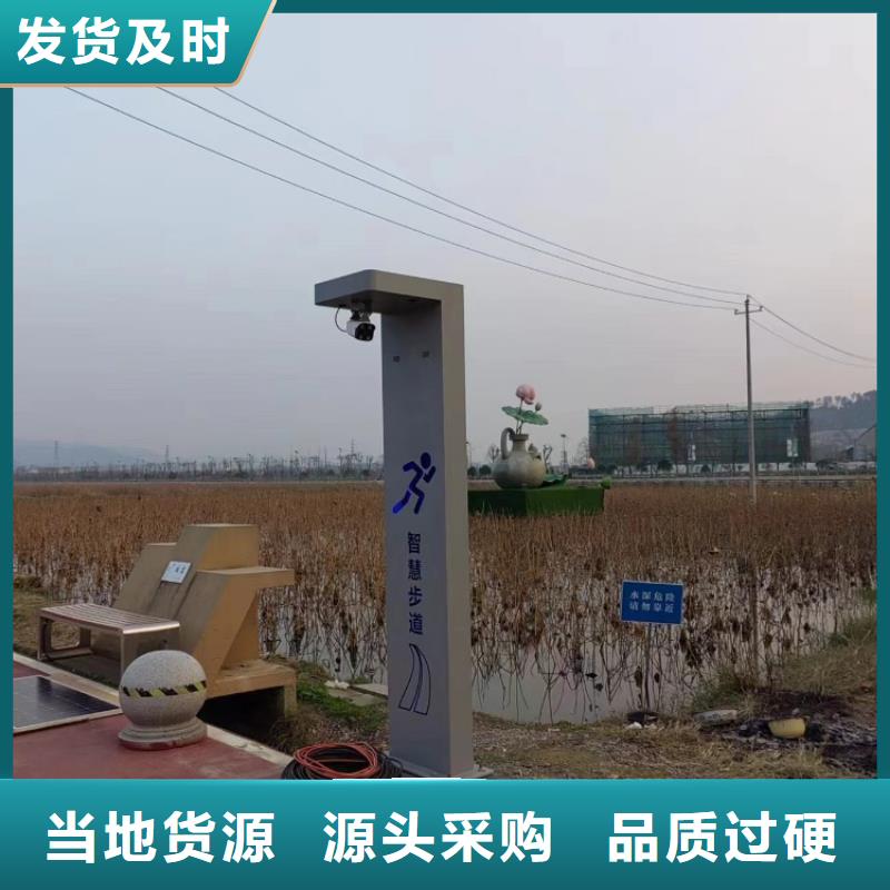 智慧_智慧步道支持定制贴心售后