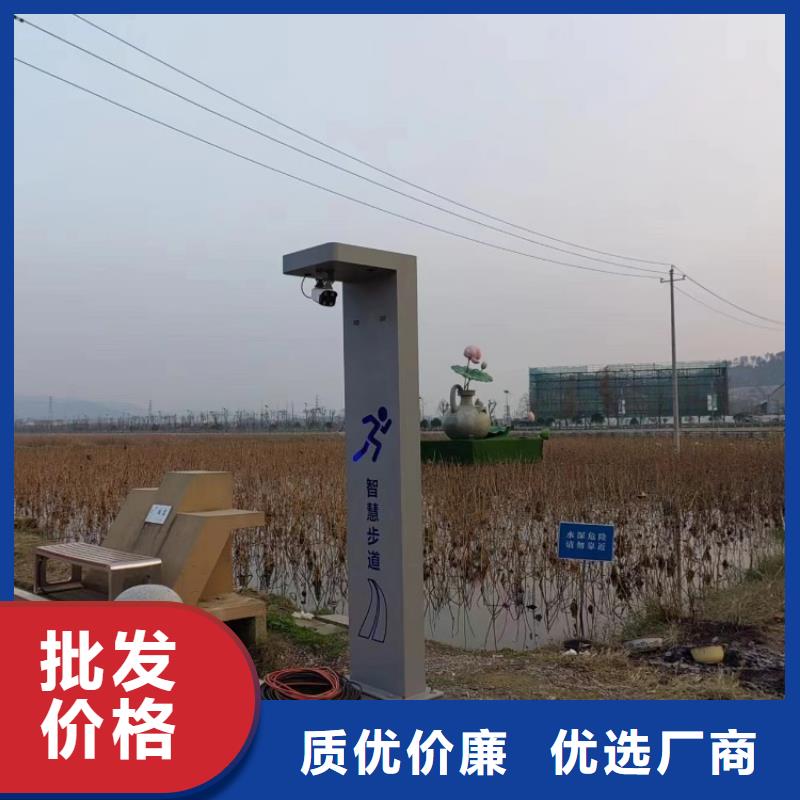 智慧ai虚拟骑行单车实力大厂家