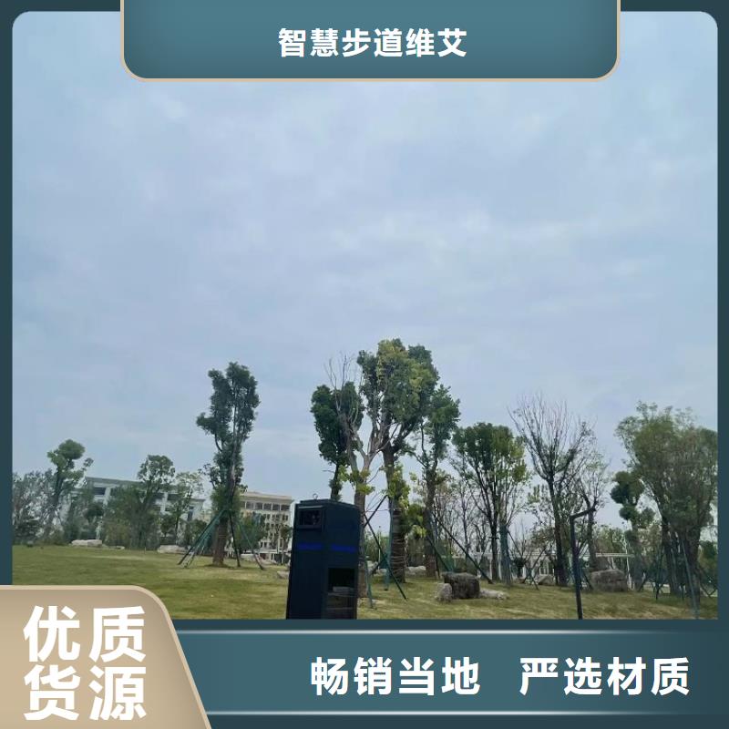 智慧智慧健身步道精工细作品质优良