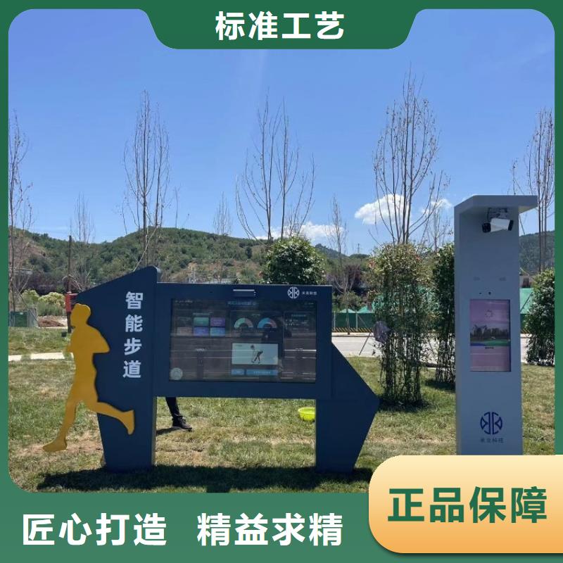 智慧智慧步道厂家货源稳定