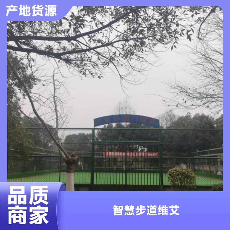 虚拟骑行单车费用(维艾狄尔)