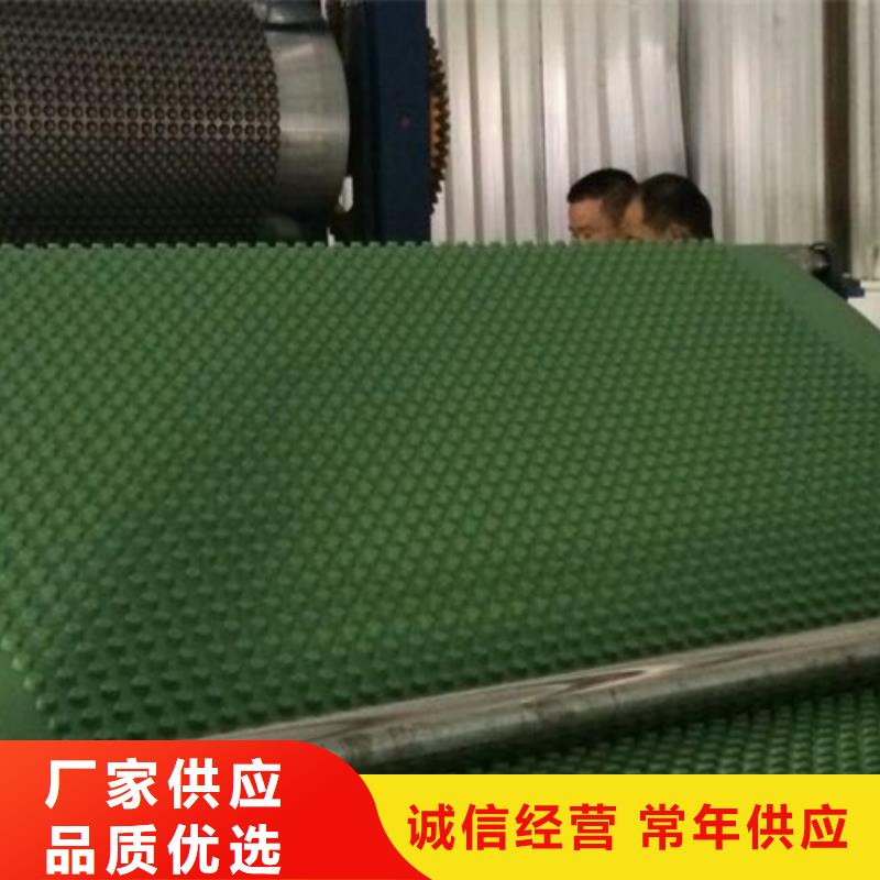 排水板防护虹吸排水收集系统专业厂家