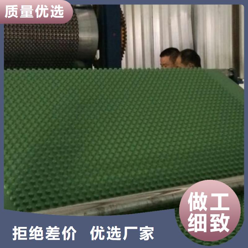 排水板水泥化粪池匠心制造