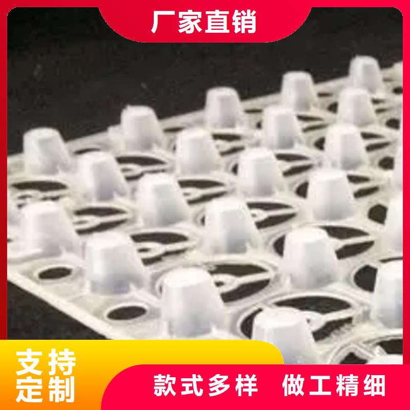 凹凸型排水板产地货源
