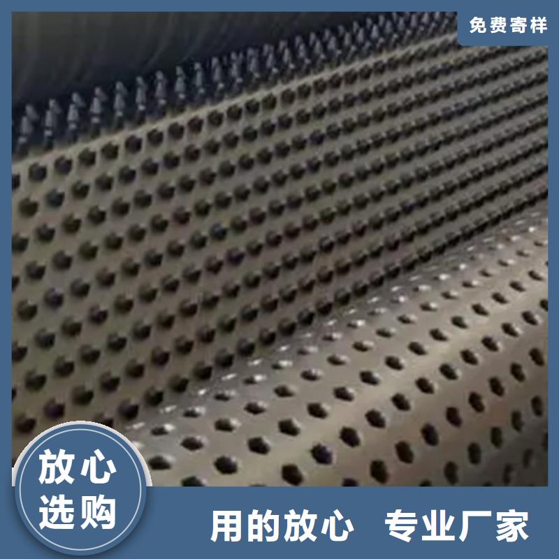 凹凸型排水板生产厂家朋联