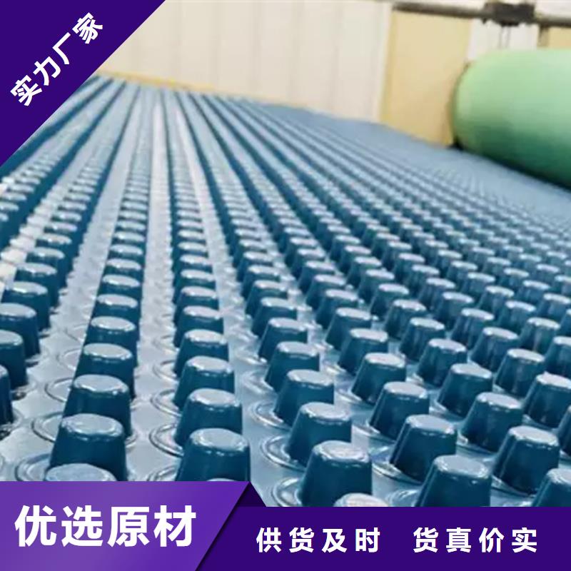 塑料排水板价格