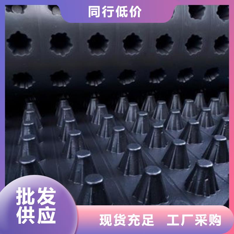 排水板水泥化粪池匠心制造