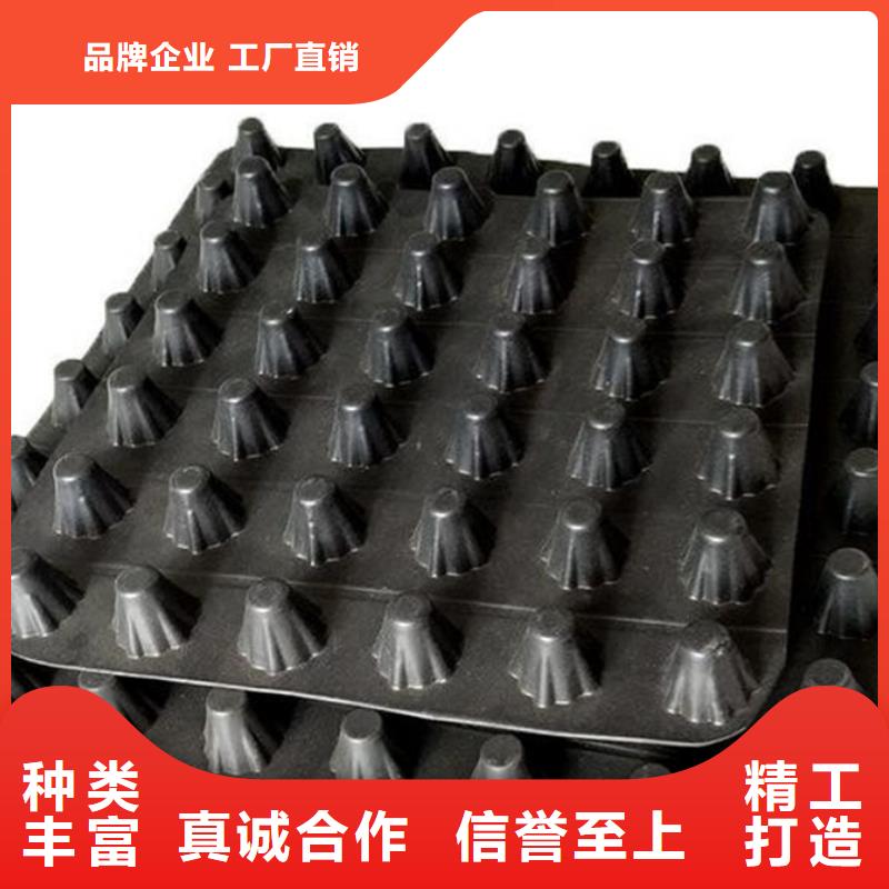 植草格视频- 植草格(朋联)覆盖地域山东省济南|菏泽|烟台|淄博