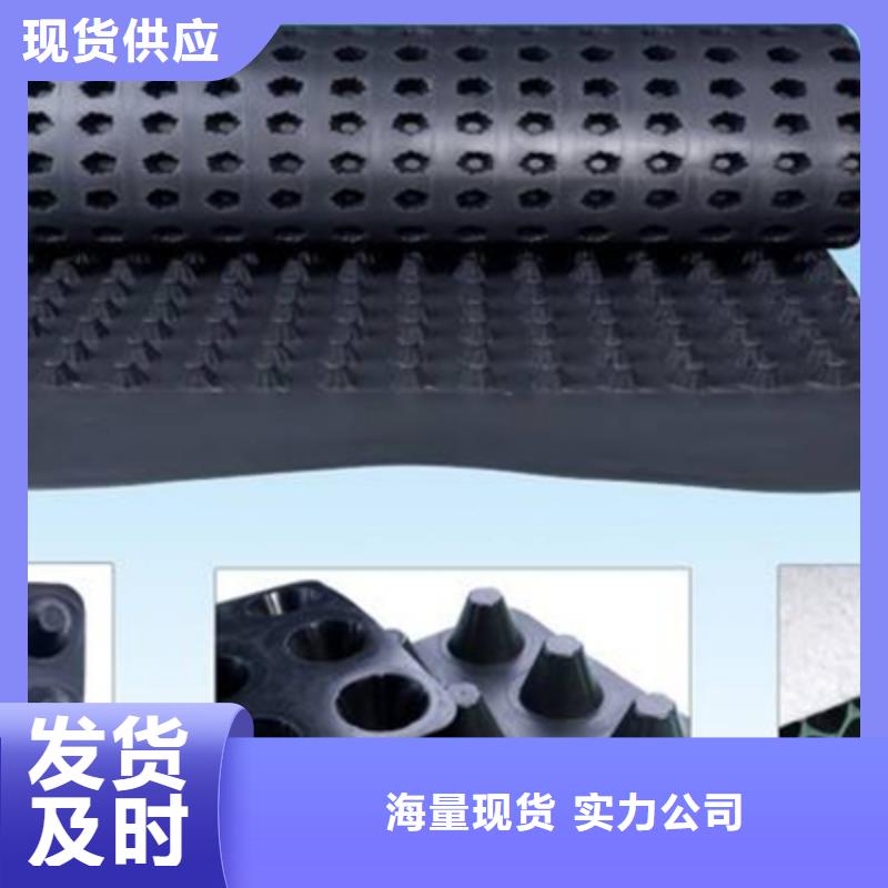 植草格视频- 植草格(朋联)覆盖地域山东省济南|菏泽|烟台|淄博