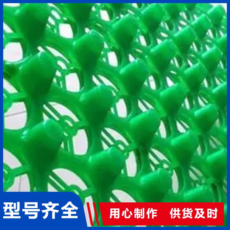 排水板,防护虹吸排水收集系统厂家经验丰富