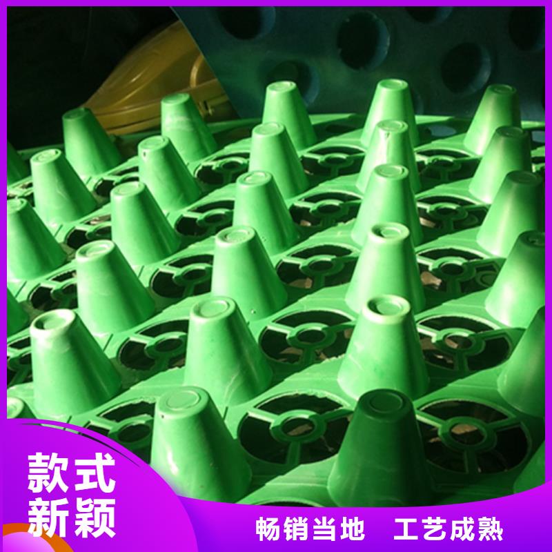 塑料排水板生产厂家*价格