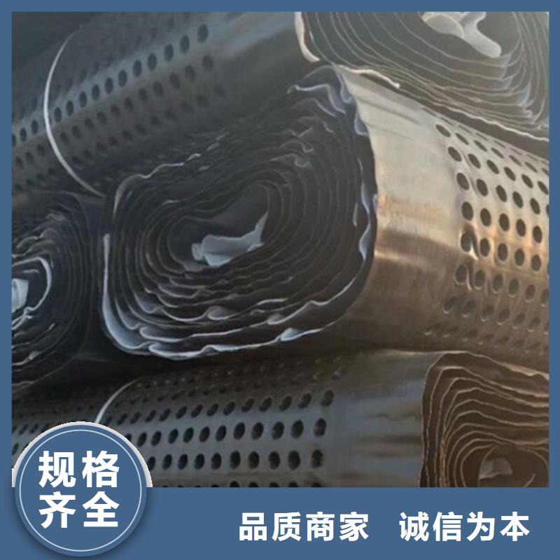 排水板防护虹吸排水收集系统厂家销售