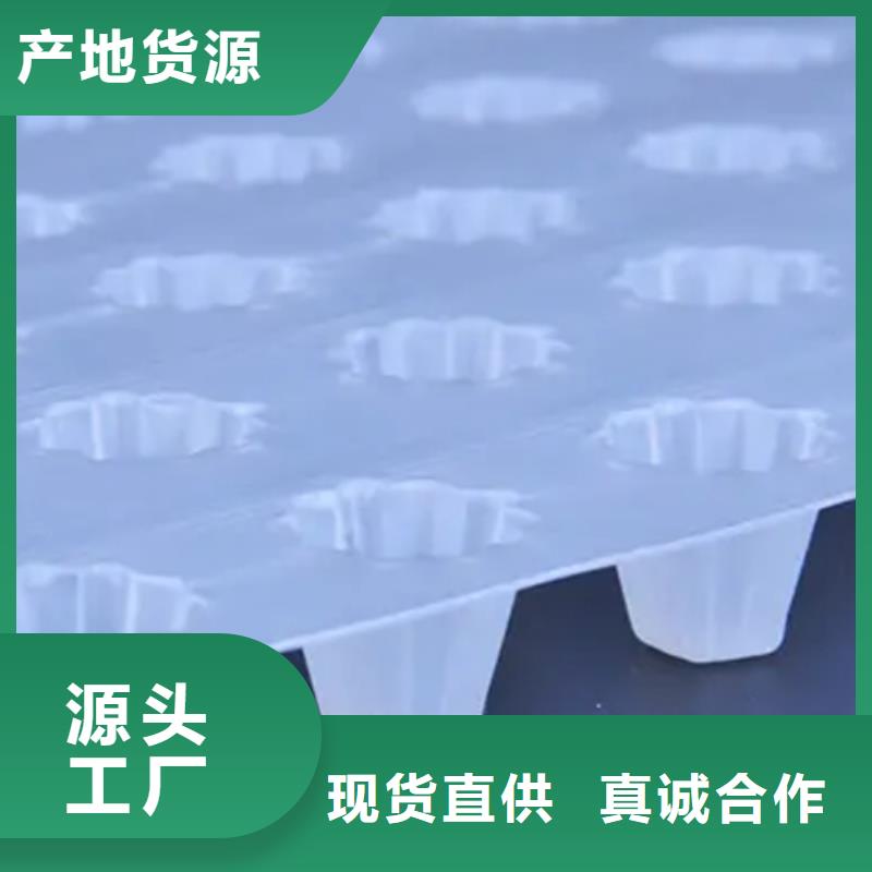 排水板防护虹吸排水收集系统厂家销售