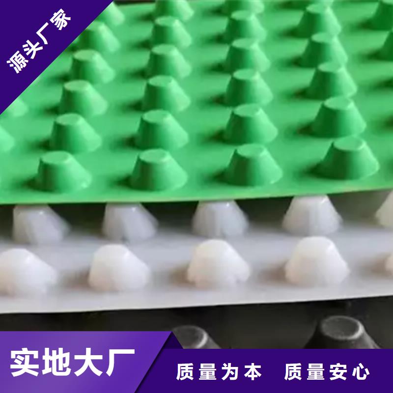 排水板水泥化粪池匠心制造