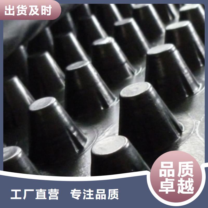 蓄排水板厂家直销中