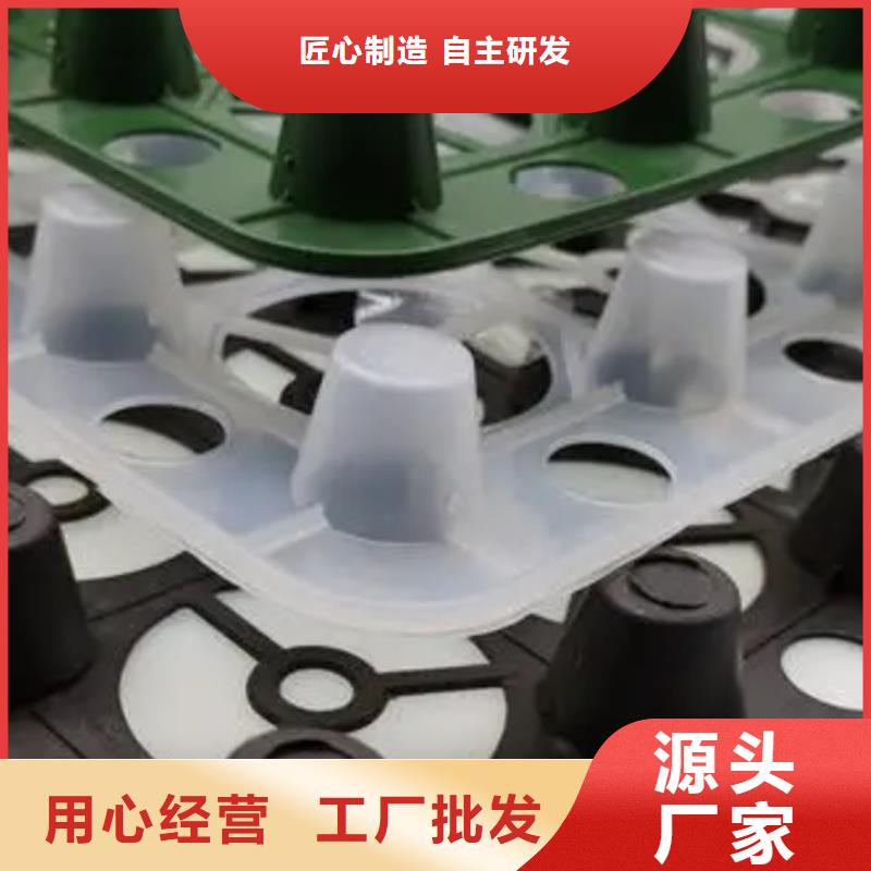 蓄排水板厂家直销中