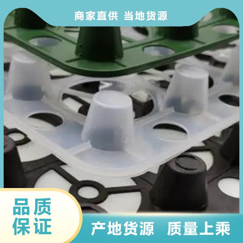 植草格视频- 植草格(朋联)覆盖地域山东省济南|菏泽|烟台|淄博