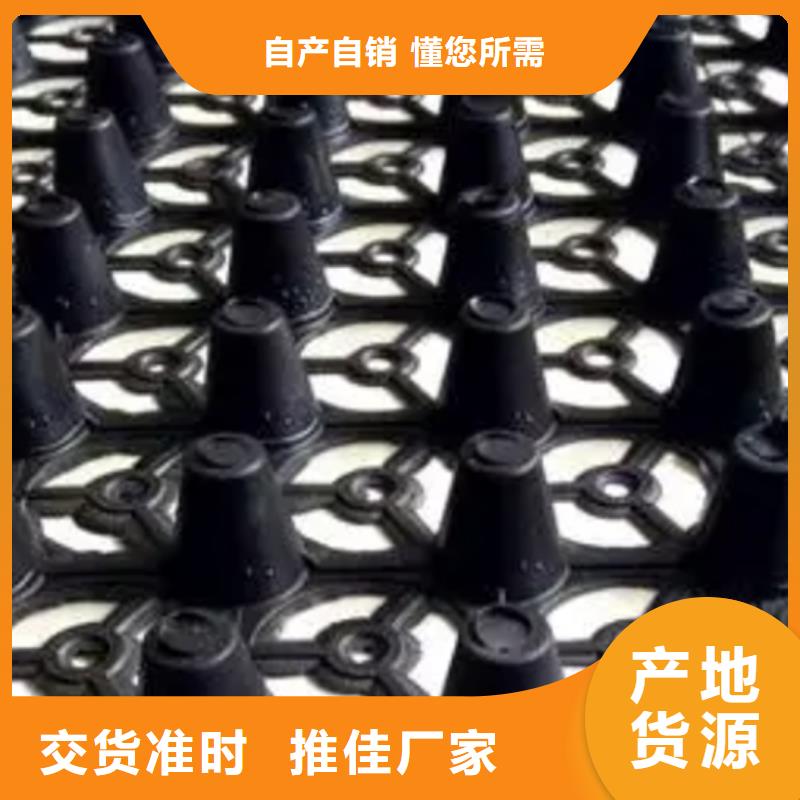 排水板水泥化粪池匠心制造