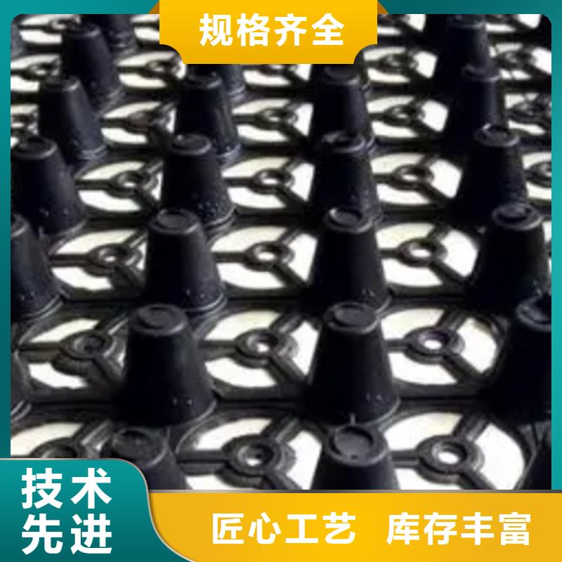 排水板批发价