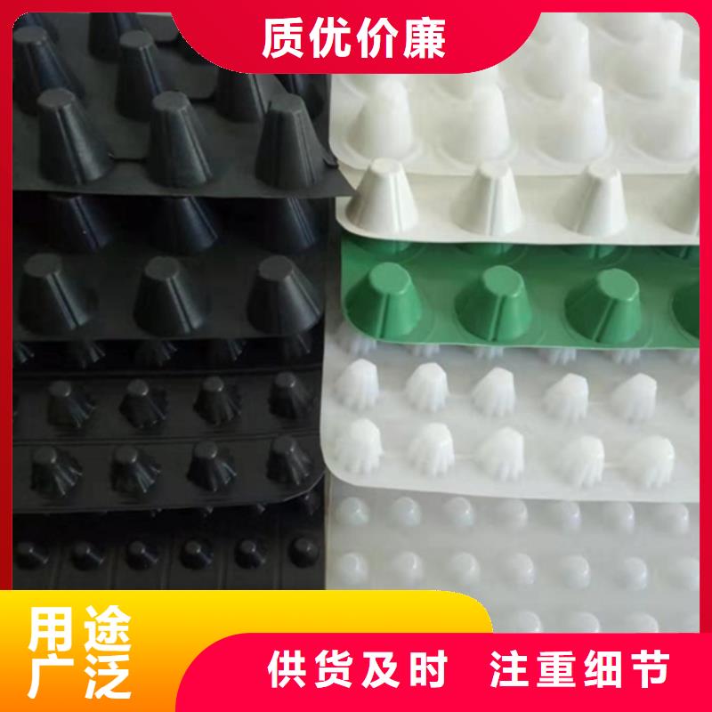 塑料排水板生产厂家*价格